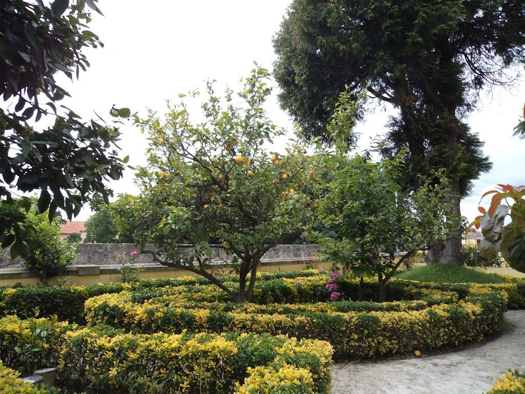Nobre Porto